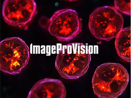ImageProVision